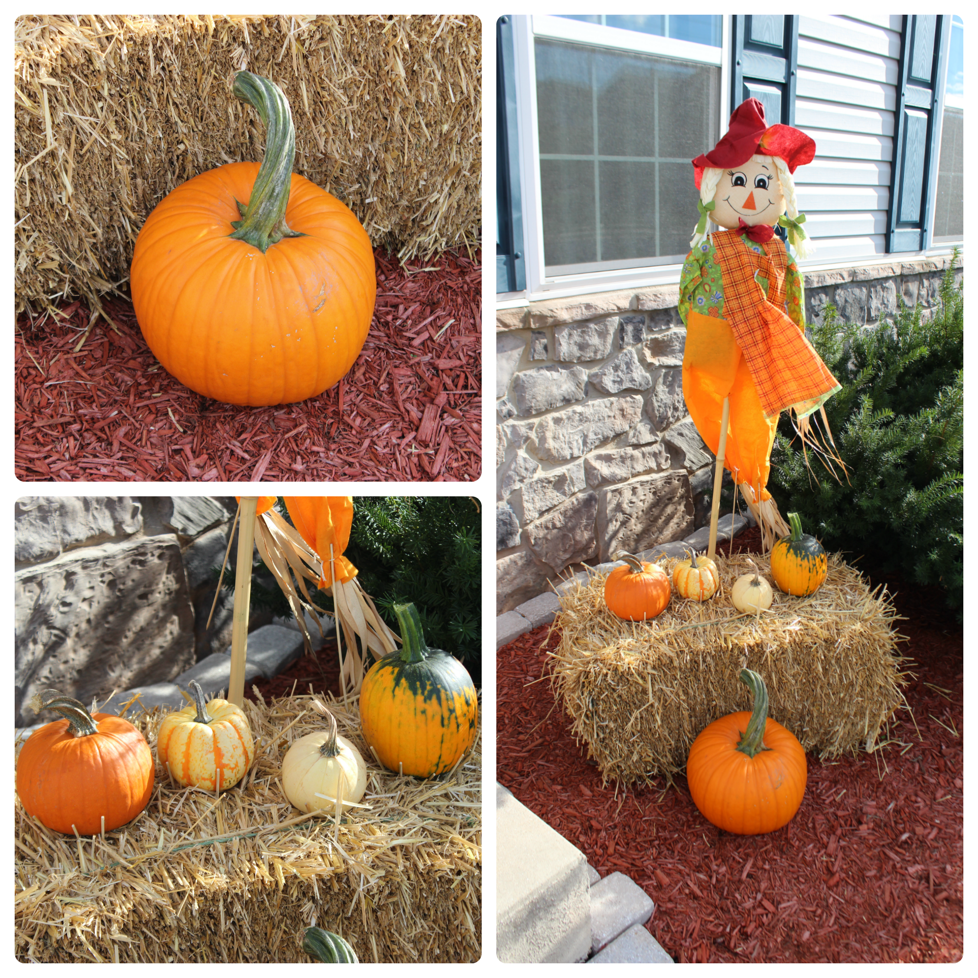 deco dehors halloween 2.png