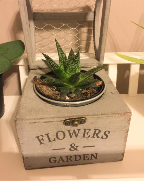 29027097_1046085468866505_6329628694369271808_o