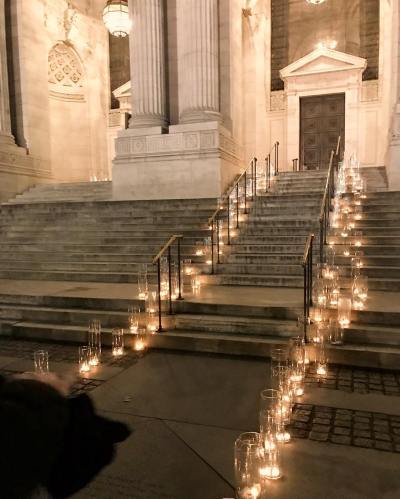 48180406_1246271092181274_3874977699847995392_o