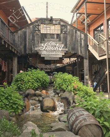 40081411_1177563929051991_7128557667294904320_o