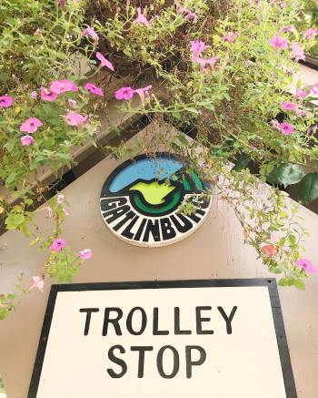 40231927_1177577702383947_4369241161882140672_o