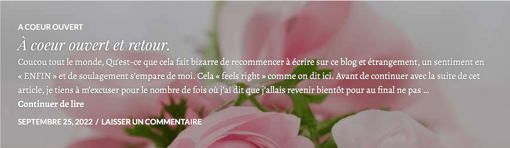 Screen Shot 2022-09-25 at 10.52.47 AM