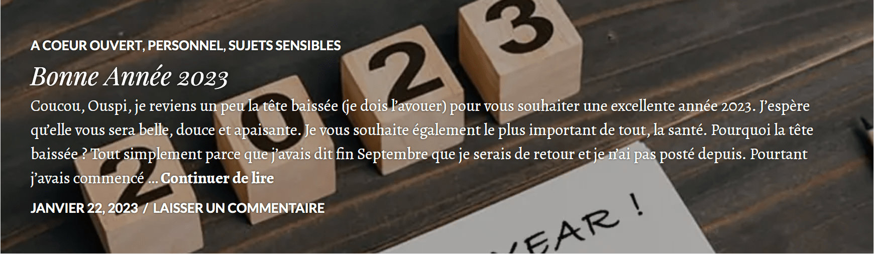 Capture d’écran 2023-01-22 à 3.04.43 PM